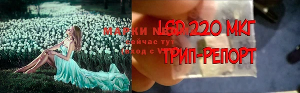прущая мука Алзамай