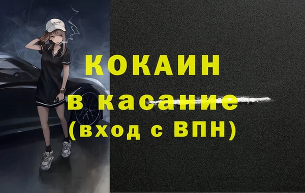 гашик Алексеевка