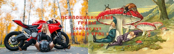 гашик Алексеевка