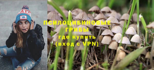 прущая мука Алзамай