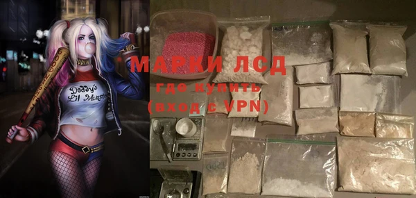 гашик Алексеевка