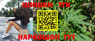 МДПВ Можга