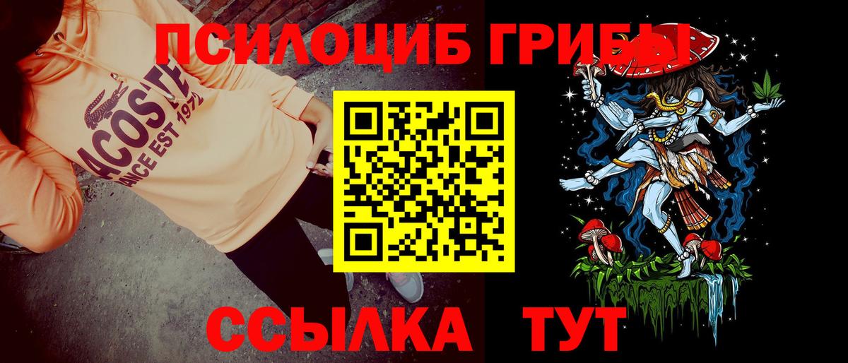 Галлюциногенные грибы Psilocybine cubensis Саров