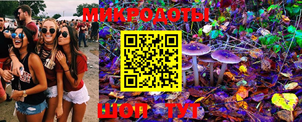 Саров  Галлюциногенные грибы ЛСД  Вход с VPN 