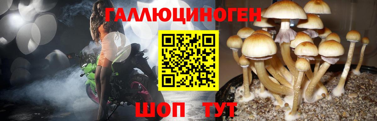 Псилоцибиновые грибы ЛСД Саров
